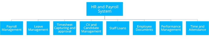 payroll3